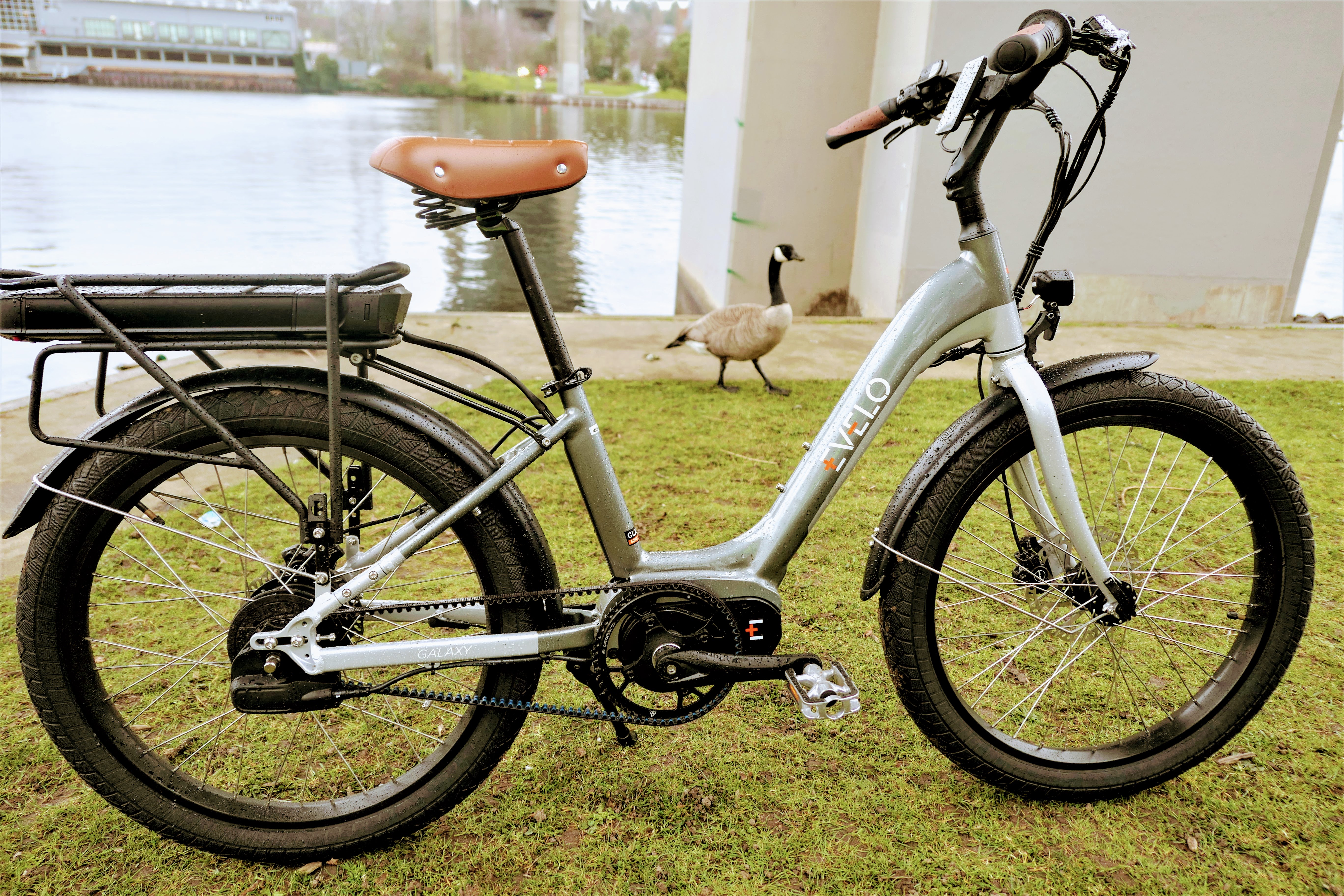 Take a gander at this e-bike